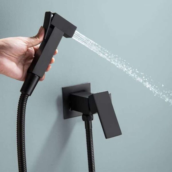 Amii Single-Handle Bidet Faucet with Bidet Sprayer and Hot and Cold Mode in Matte Black